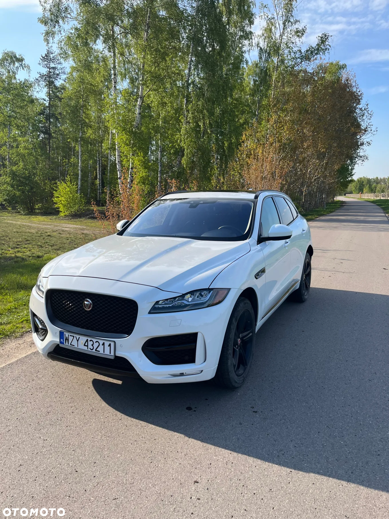 Jaguar F-Pace 2.0 i4P AWD R-Sport - 2