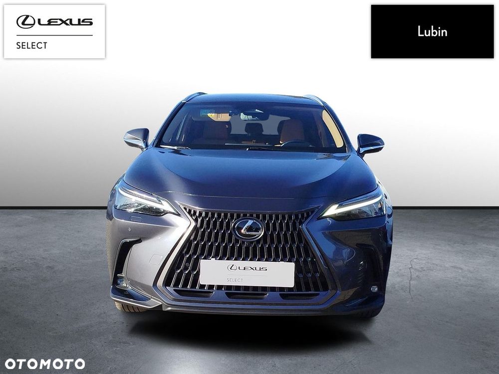Lexus NX - 8