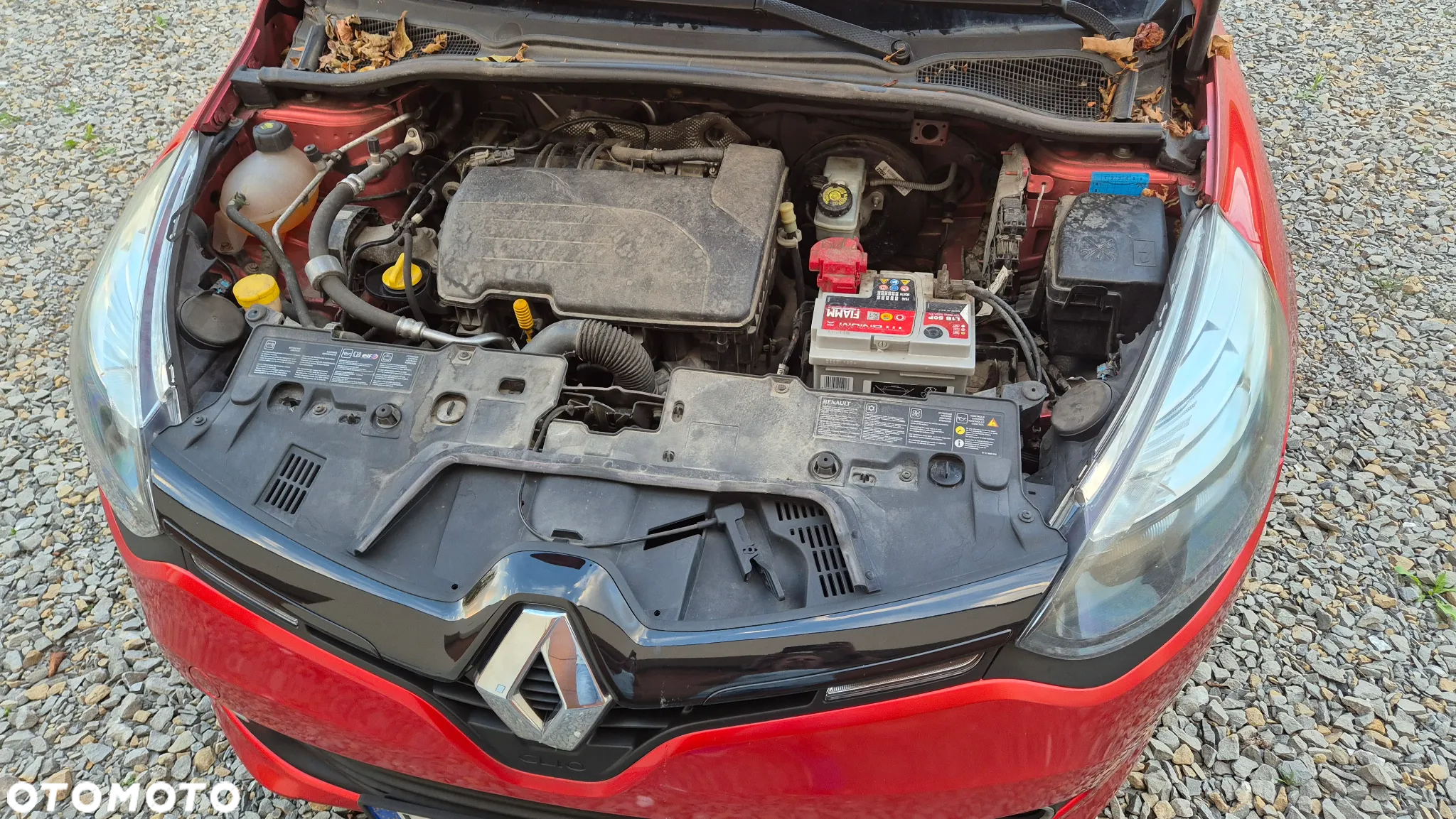 Renault Clio - 7