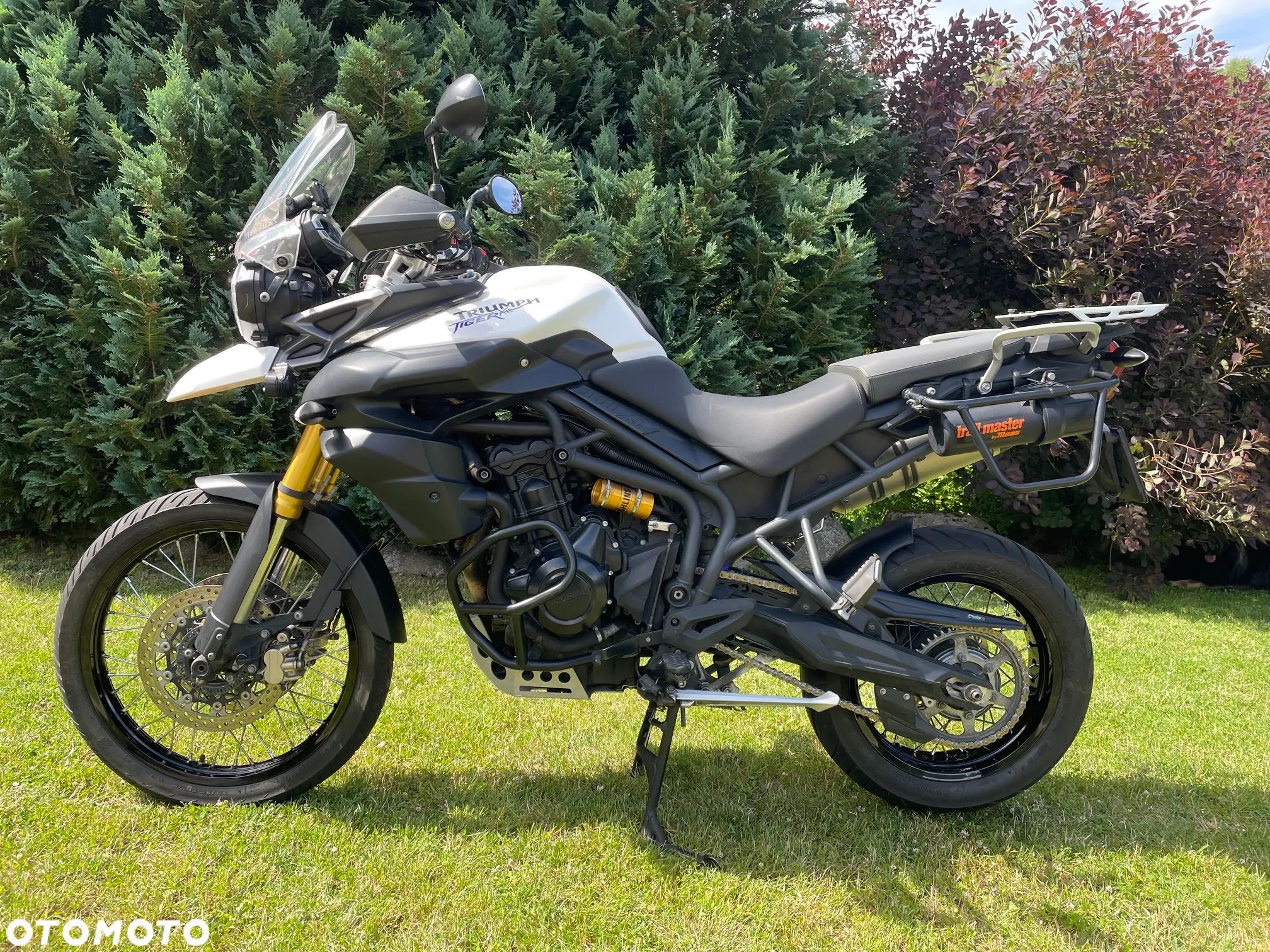 Triumph Tiger - 1