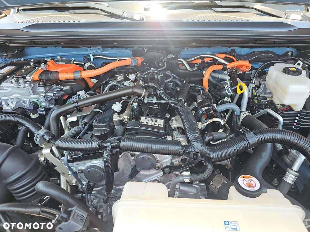 Toyota Land Cruiser - 13