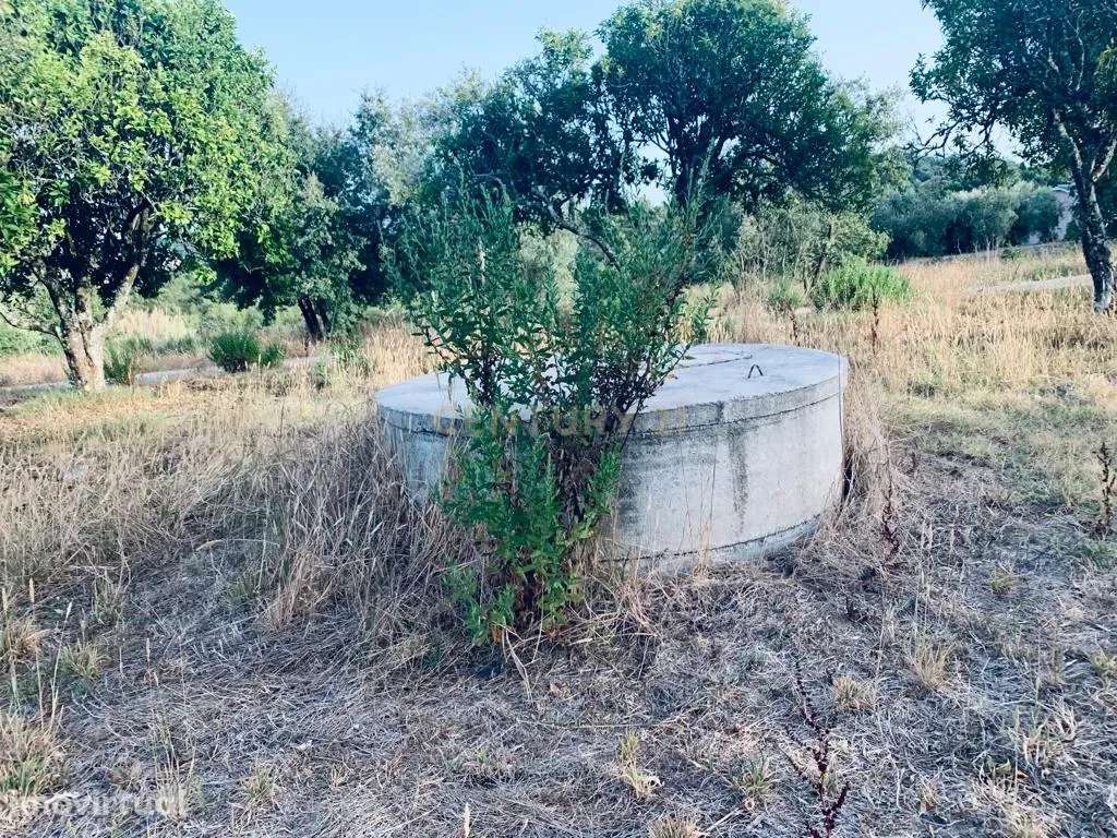 Terreno Urbano II Pombal - Grande imagem: 3/16