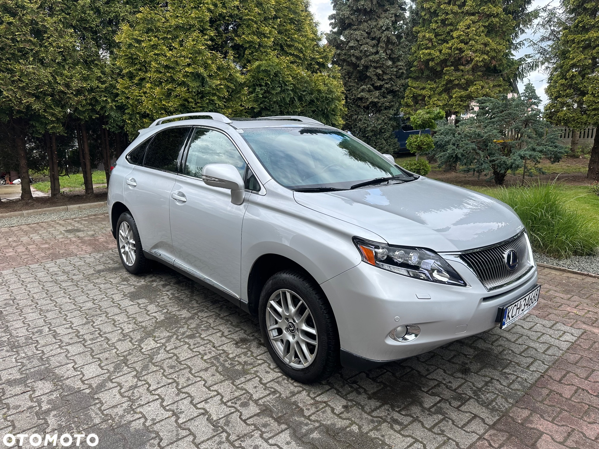 Lexus RX 450h (hybrid) Luxury Line - 14