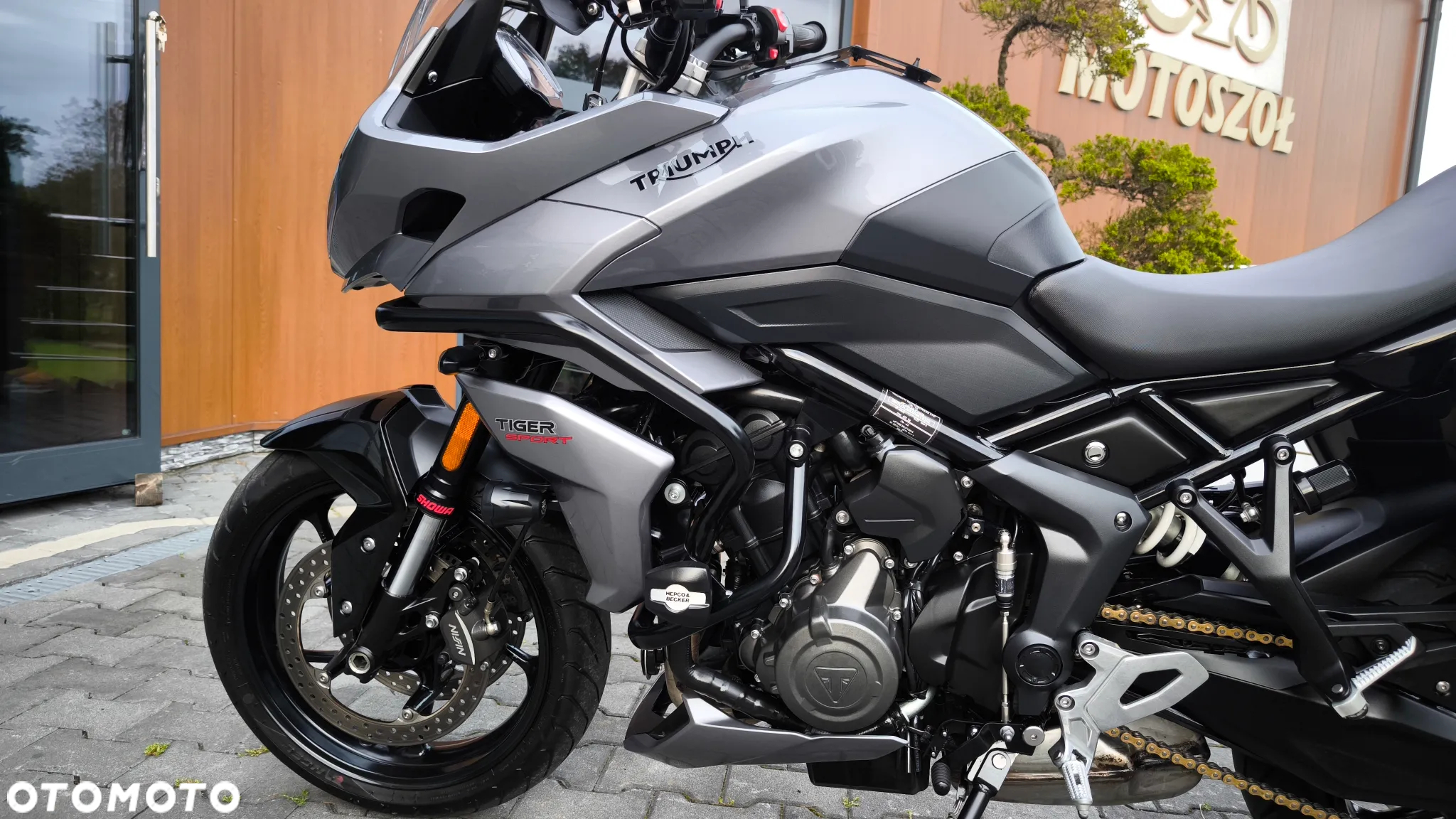 Triumph Tiger - 13
