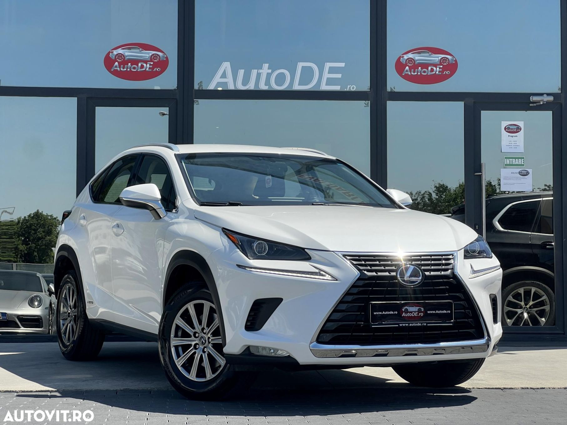 Lexus Seria NX 300h Business - 2