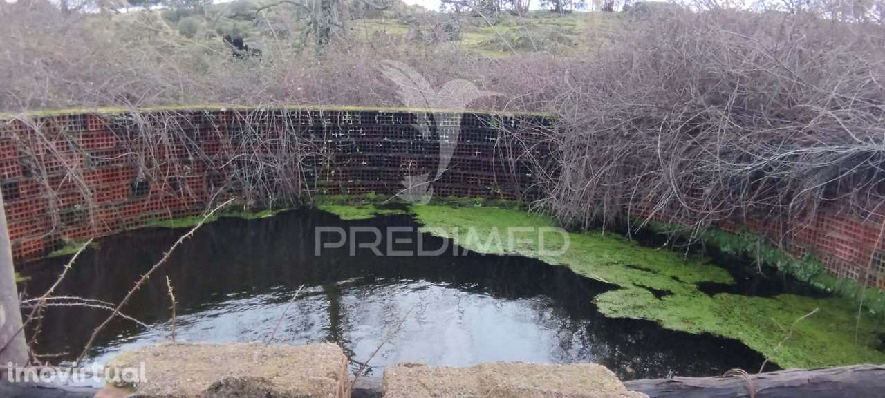 Terreno Rústico - Grande imagem: 5/21