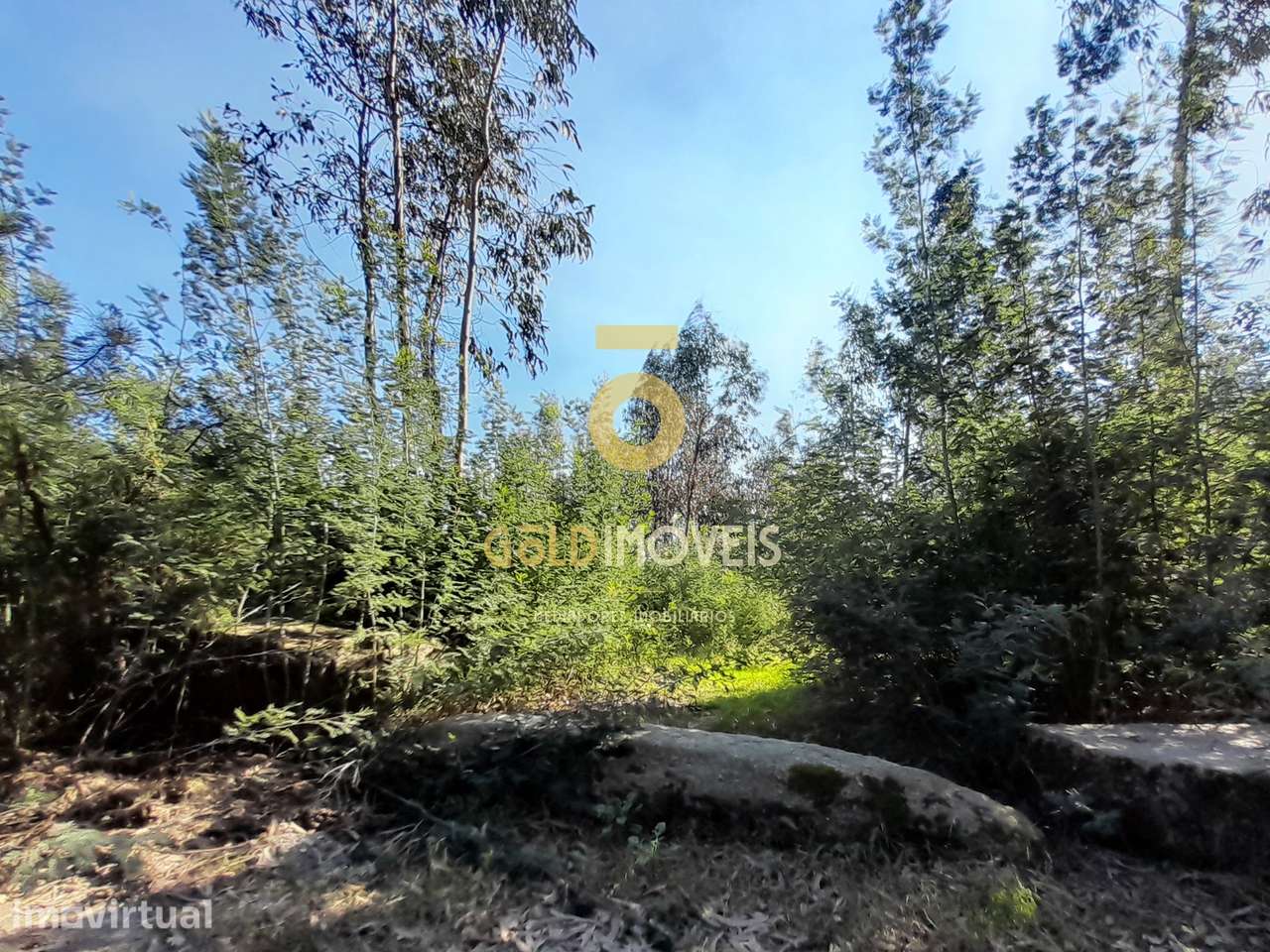 Lote de Terreno para construção em Alpendorada - Marco de Canaveses - Grande imagem: 3/3
