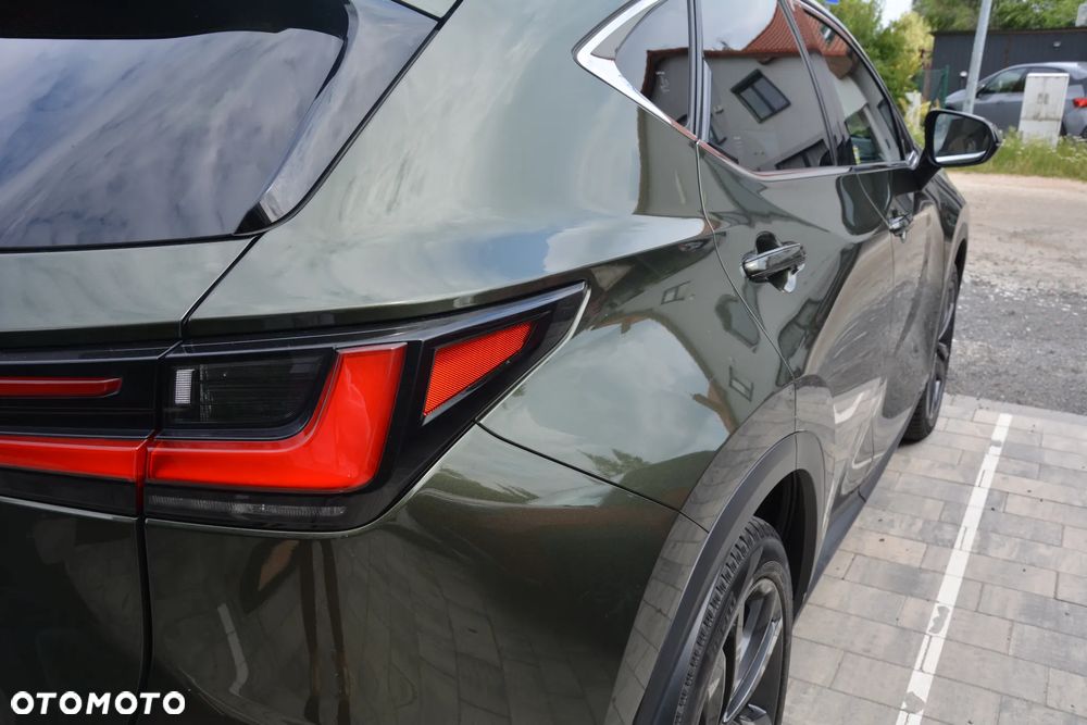 Lexus NX - 17