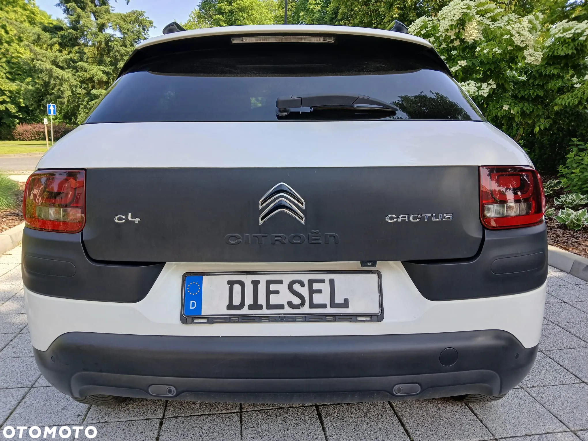 Citroën C4 Cactus - 19