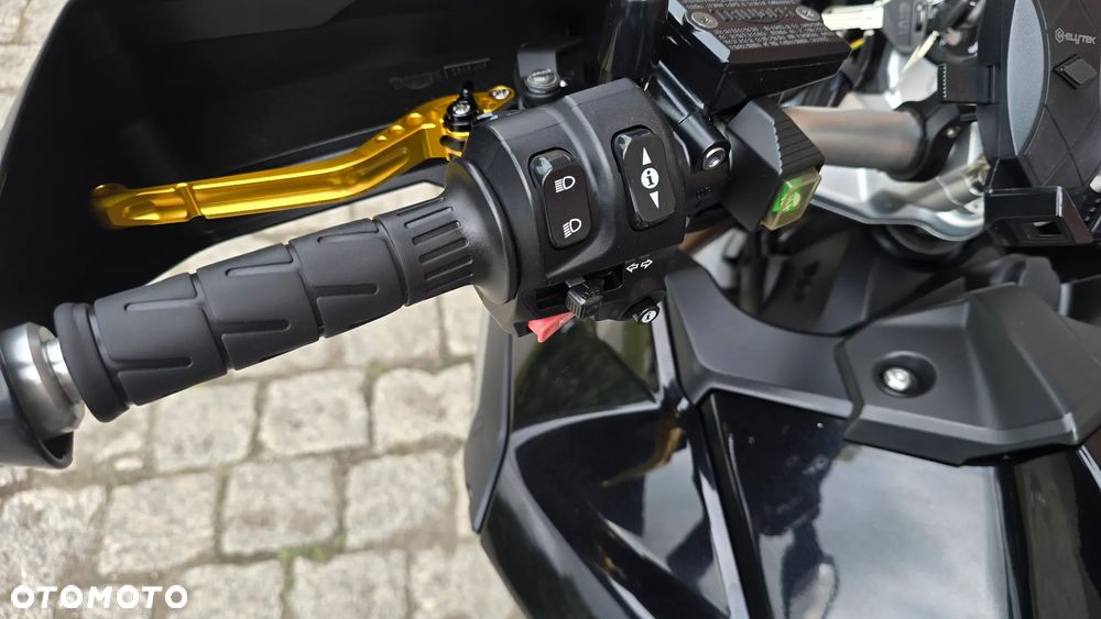Triumph Tiger - 20