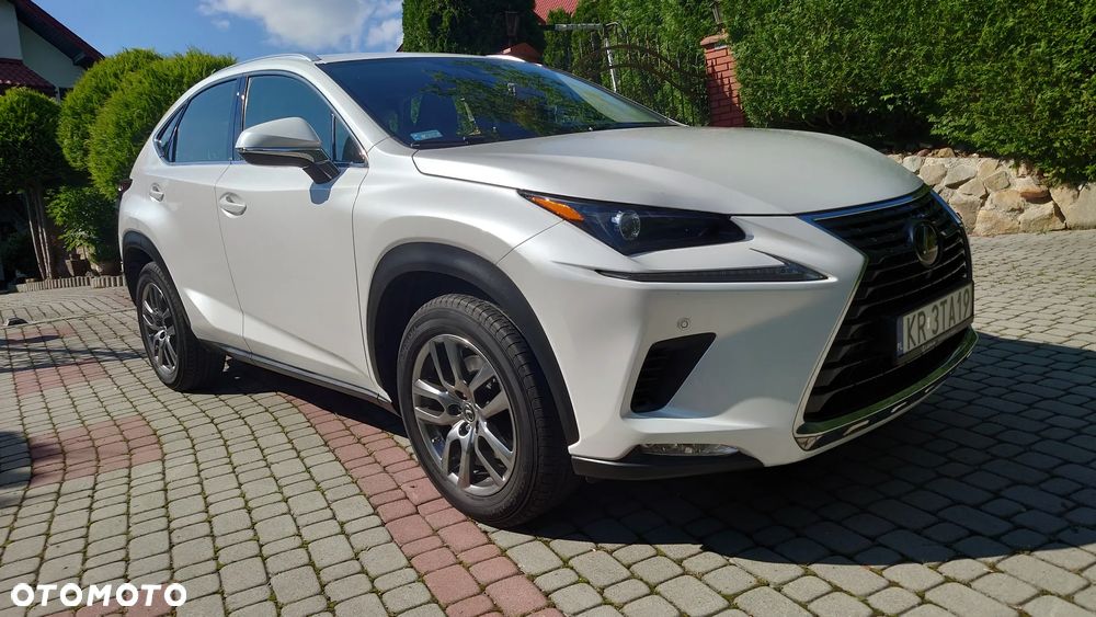 Lexus NX 300 F Sport AWD - 14