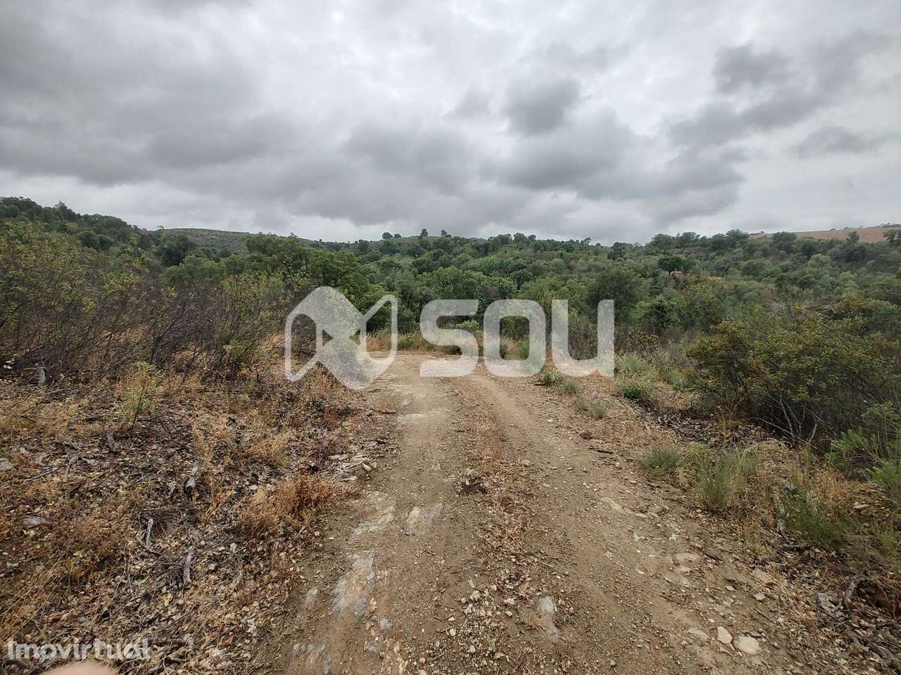 Terreno com 12ha em Mirandela - Grande imagem: 3/19