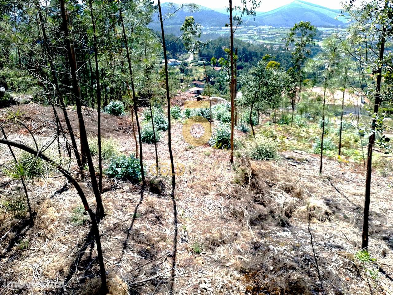 Terreno Rústico - Grande imagem: 2/10