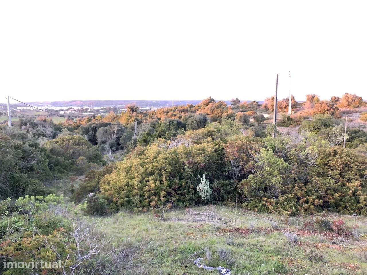 TERRENO RUSTICO PERTO DOS PALMARES, ODIÁXERE - Grande imagem: 2/5