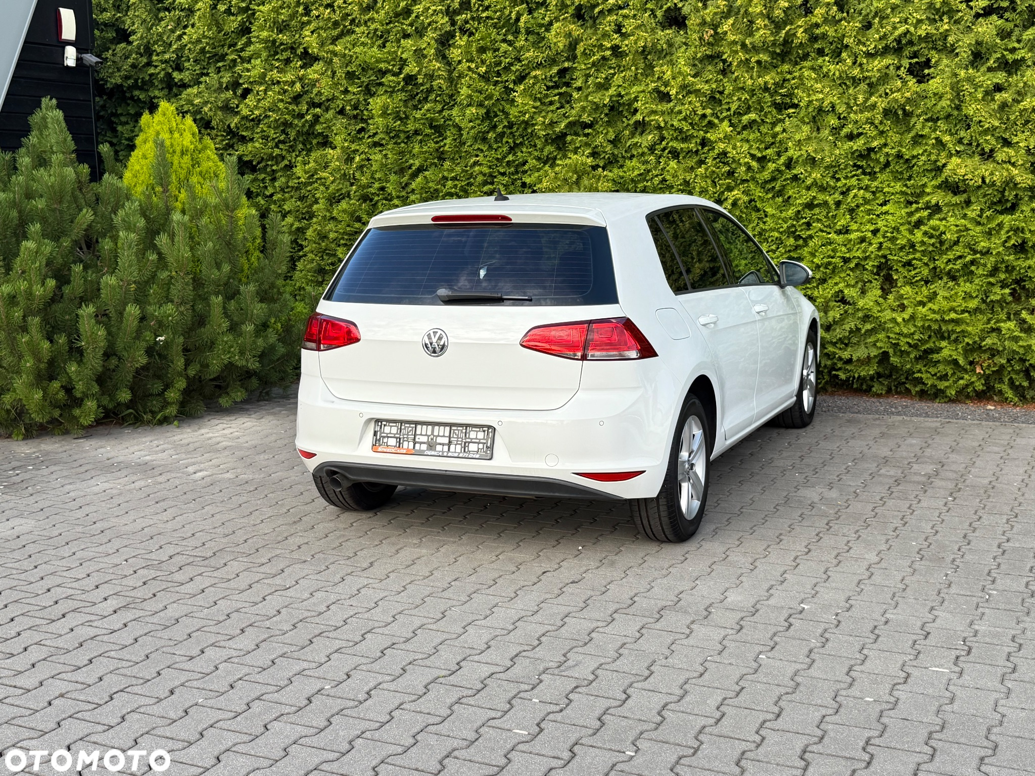 Volkswagen Golf - 5