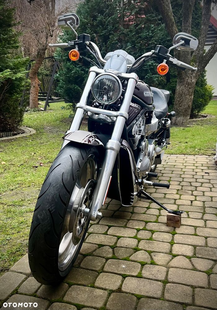 Harley-Davidson V-Rod Street Rod - 9