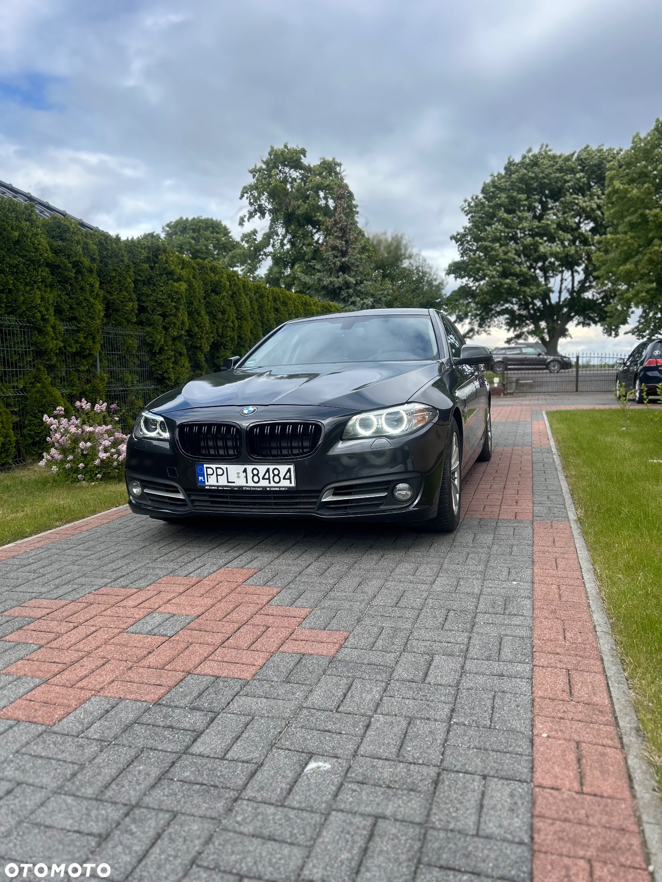 BMW Seria 5 525d Touring Sport-Aut - 23