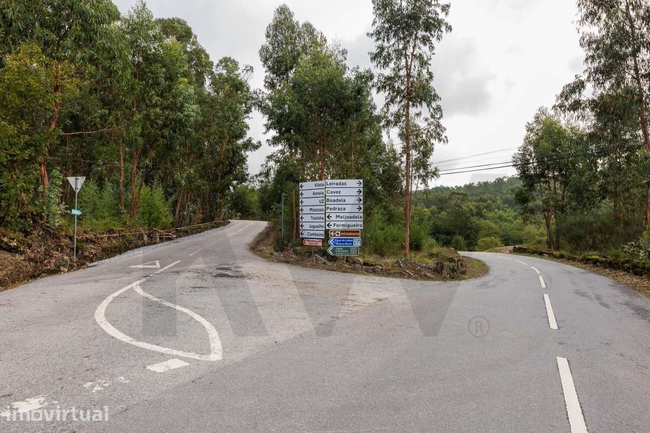 Terreno Rústico com 4.500 m2 em Rio Douro, Cabeceiras de Basto – Oport - Grande imagem: 3/10