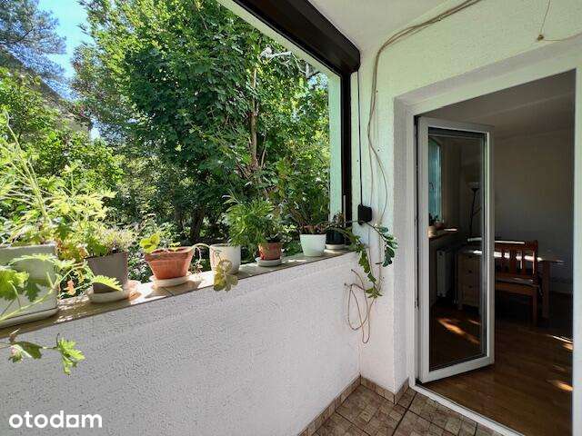 3 osobne pokoje - balkon  -  Olszewskiego - od zaraz