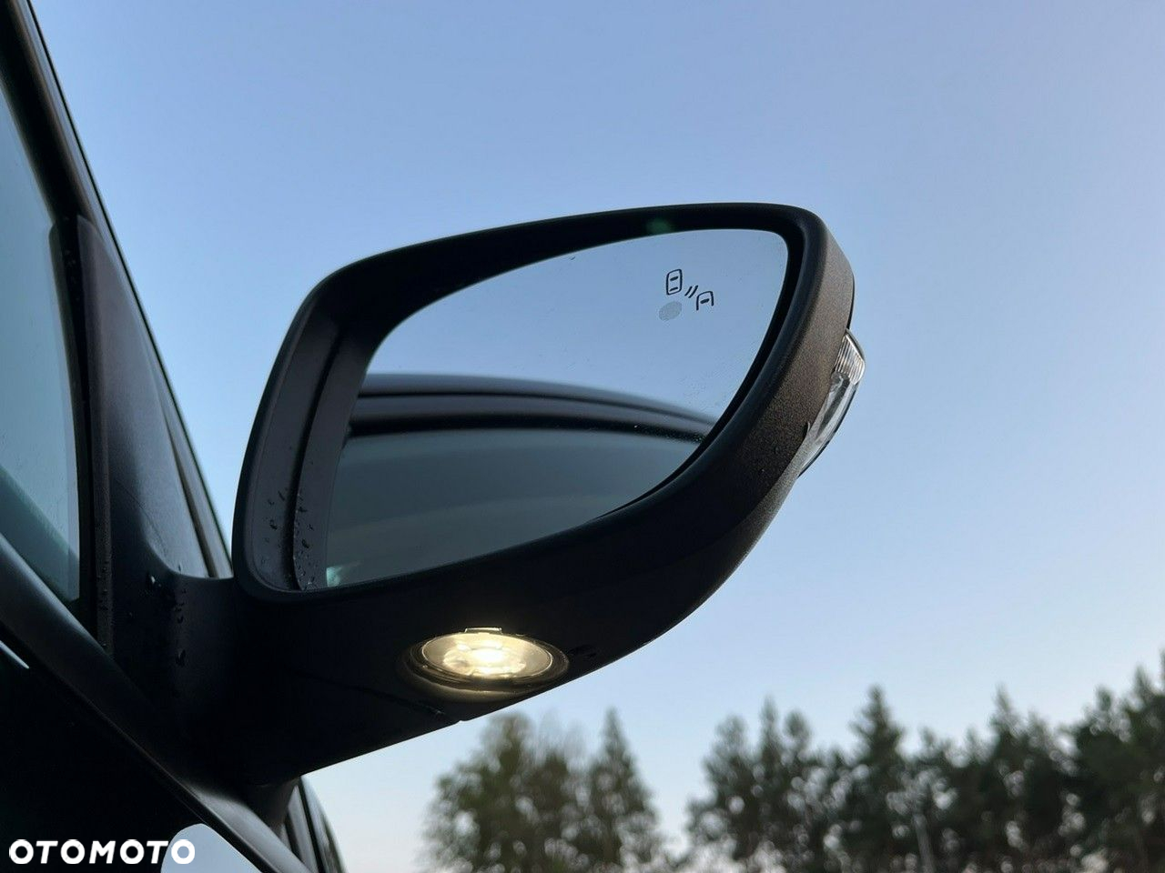 Ford Focus - 31