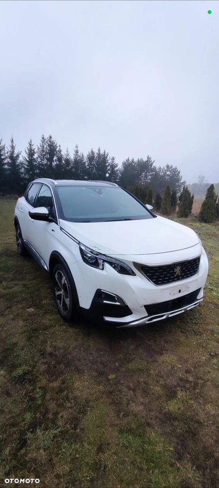 Peugeot 3008 - 18