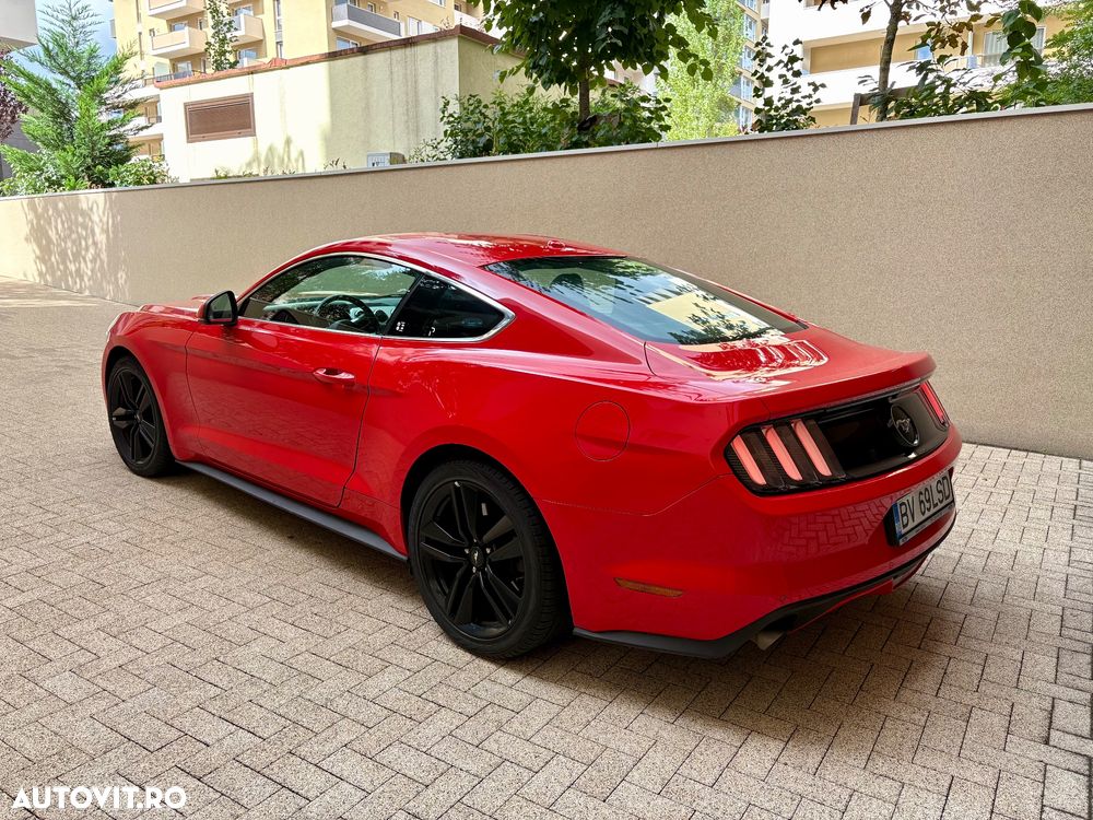 Ford Mustang 2.3 EcoBoost Aut. - 5