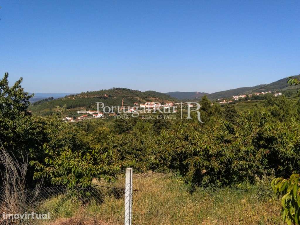 Terreno de 11.100 m² em Alcongosta, na Serra da Gardunha - Grande imagem: 5/36