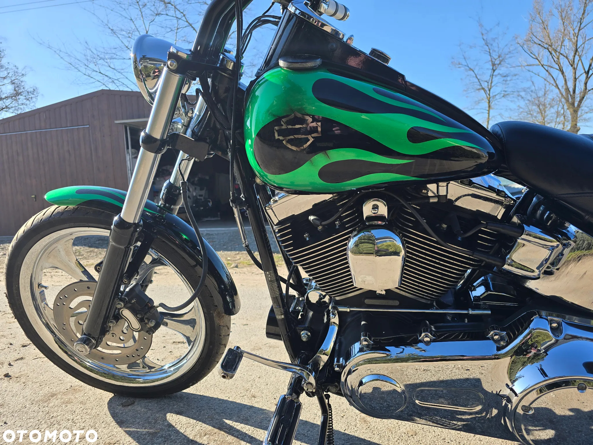 Harley-Davidson Softail Custom - 5