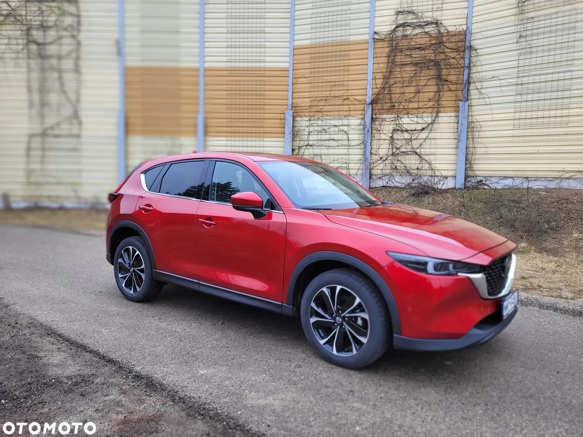 Mazda CX-5 - 7
