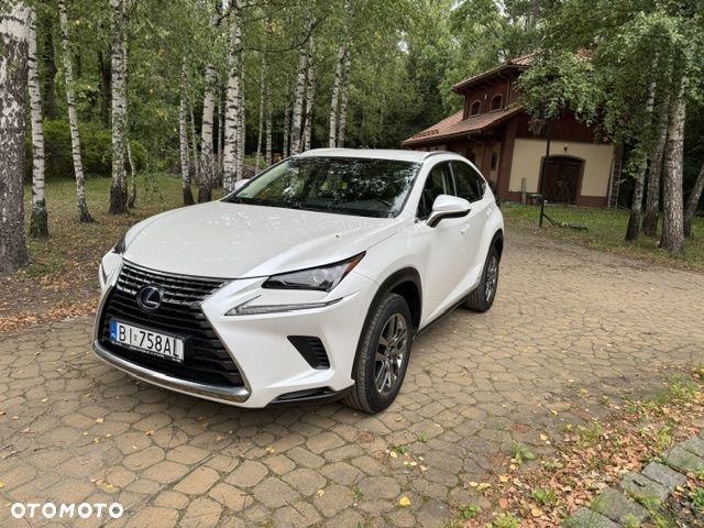 Lexus NX 300h Elegance Optimum AWD - 3