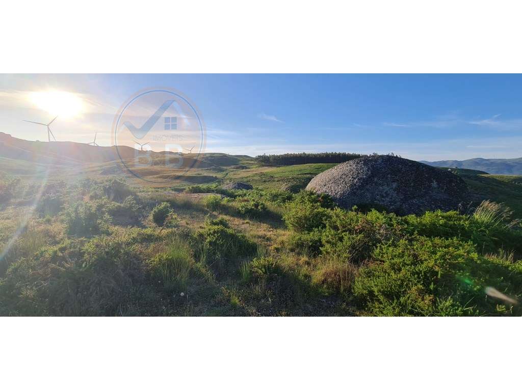 Terreno ideal para turísmo rural em Cabeceiras de Basto - Grande imagem: 2/6