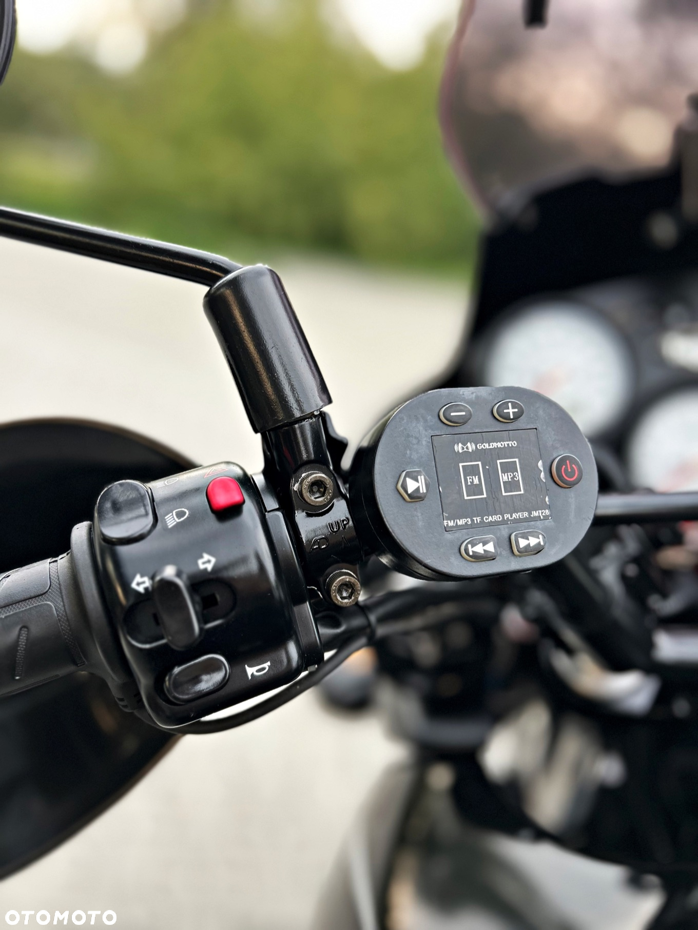 Triumph Tiger - 15