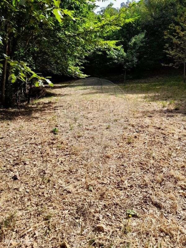 Terreno  para venda - Grande imagem: 5/10