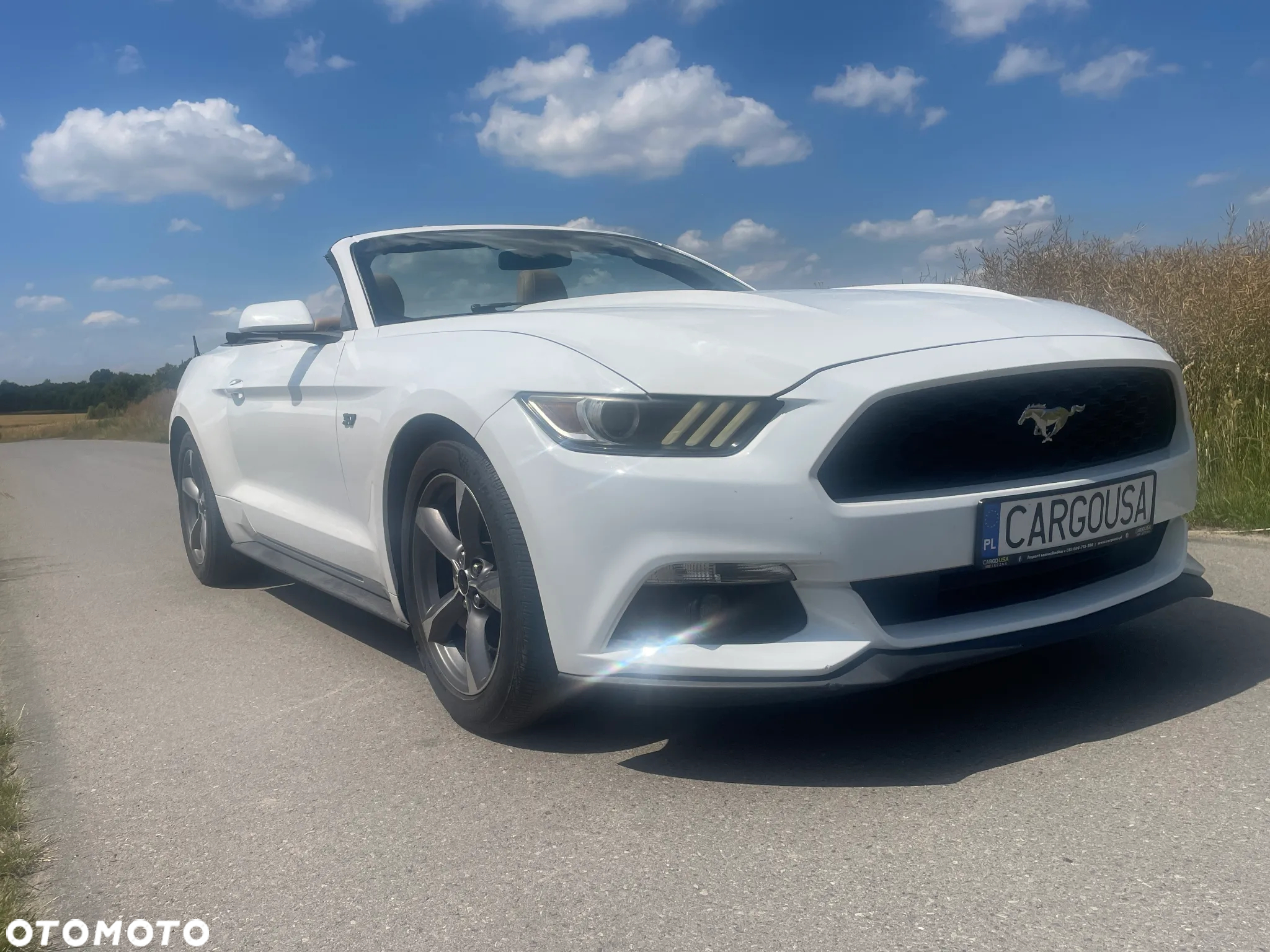 Ford Mustang 3.7 V6 - 2