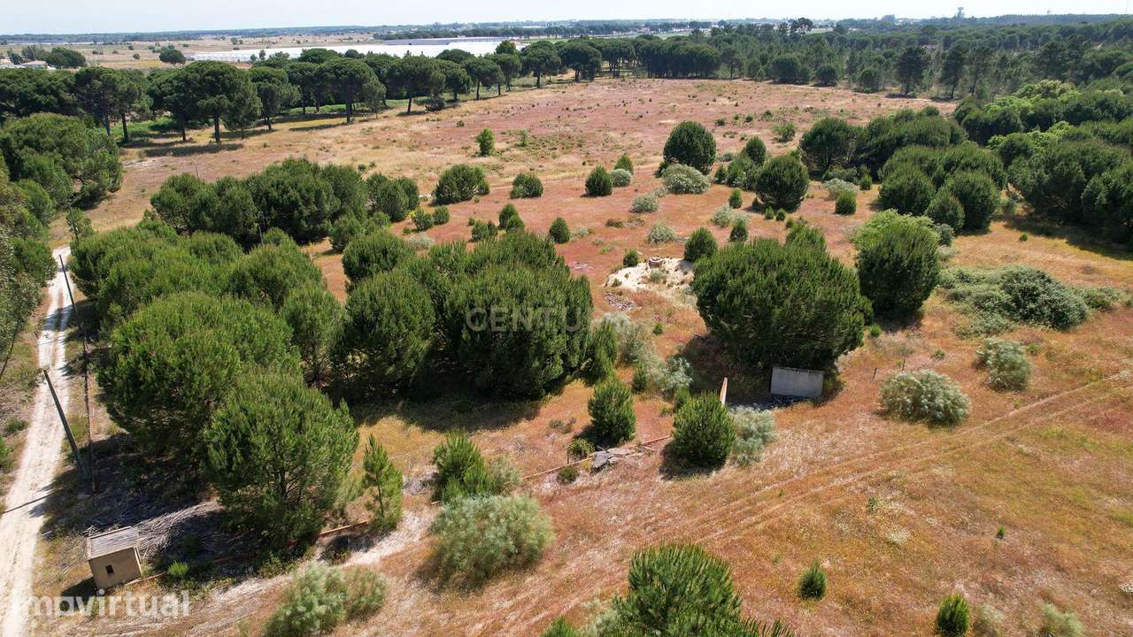 Terreno Rústico c/ 22.500m2 - Sto Isidro de Pegões - Montijo - Grande imagem: 3/12