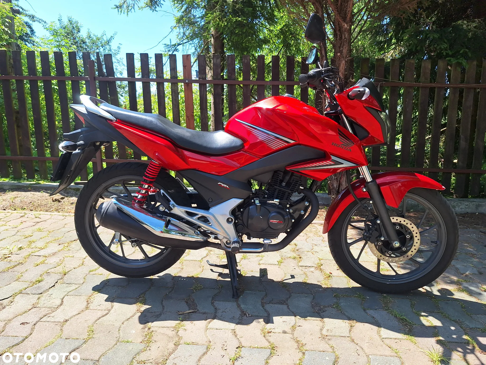 Honda CBF - 3