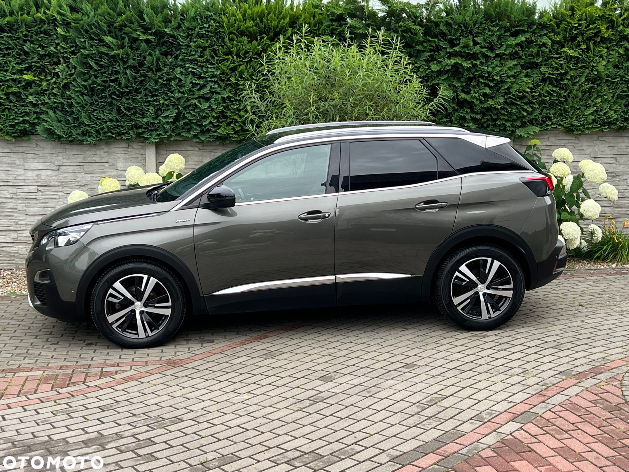 Peugeot 3008 PureTech 180 Stop & Start GPF EAT8 GT Pack - 2