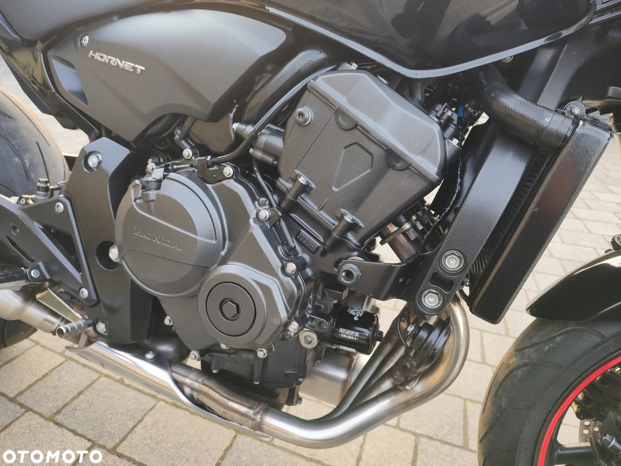 Honda Hornet - 13
