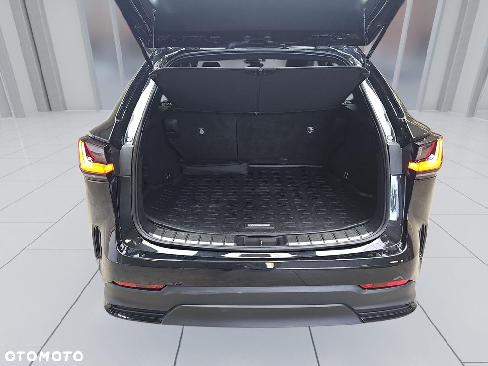 Lexus NX - 20