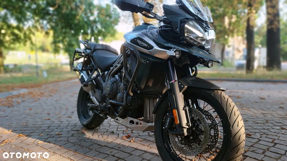 Triumph Tiger - 17