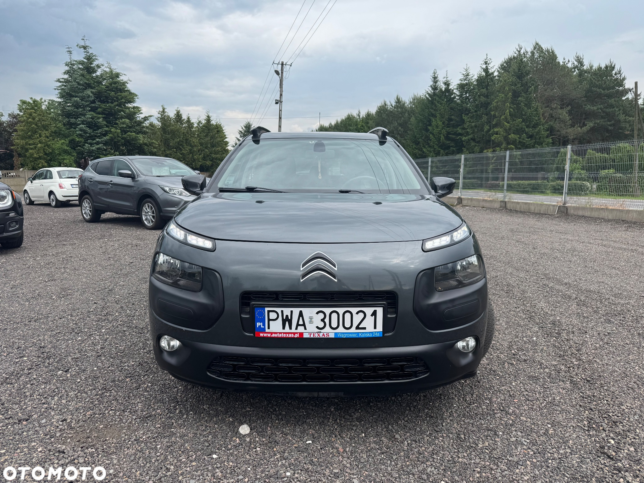 Citroën C4 Cactus 1.6 BlueHDi Shine - 2