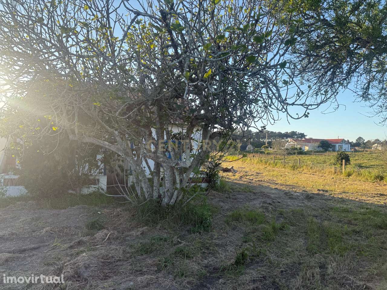 Encantadora Propriedade para Recuperação - Terreno de 4000 m2 - Grande imagem: 2/15