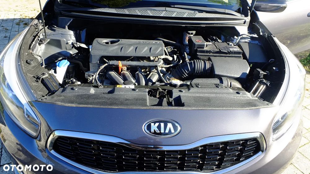 Kia Ceed - 25