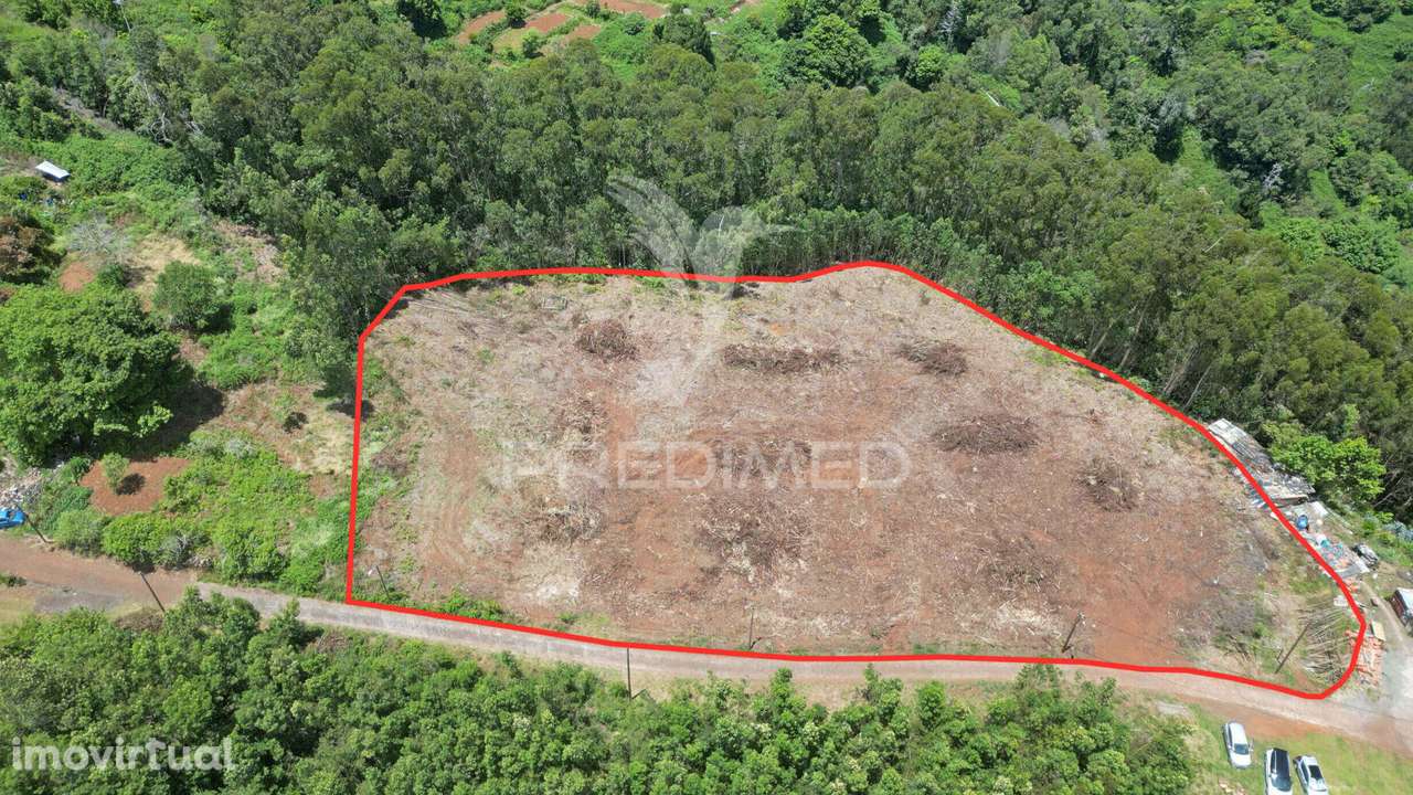 Terreno 7.220 m² plano no Santo da Serra – Ideal para Turismo Rural... - Grande imagem: 3/12