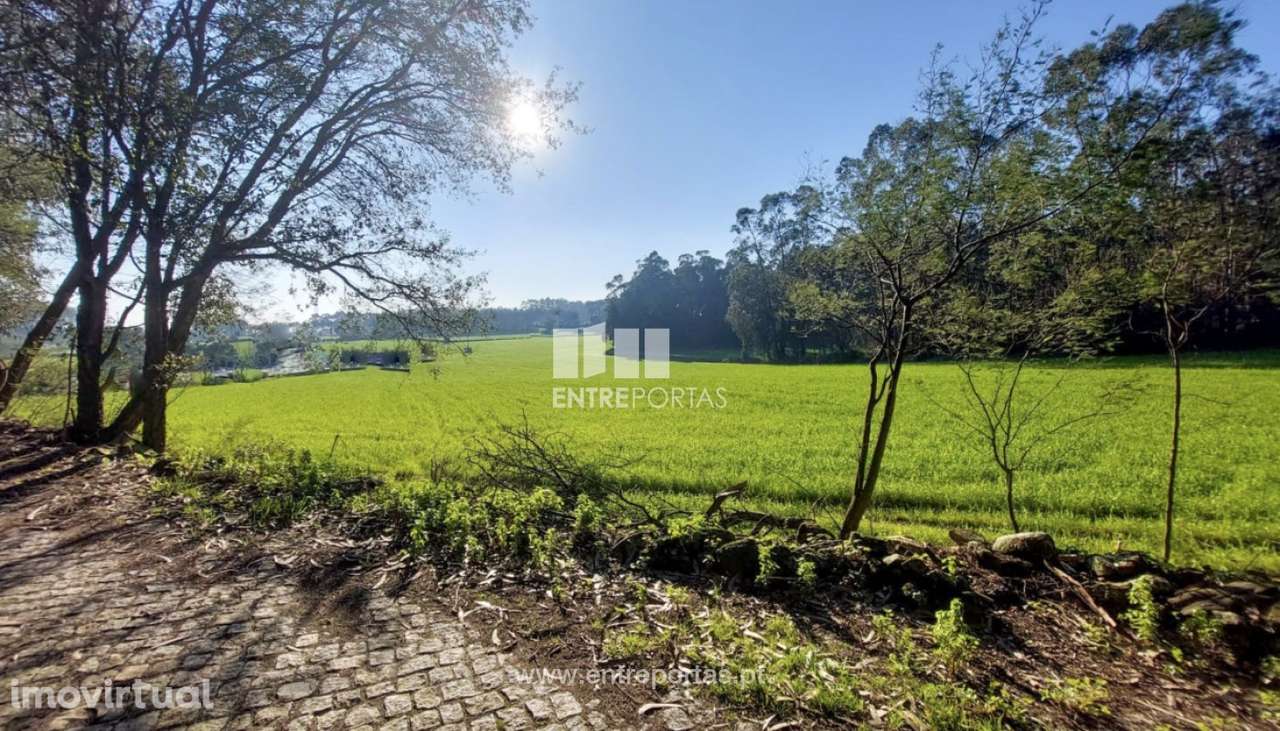 Venda de Terreno, Vairão, Vila do Conde - Grande imagem: 3/11