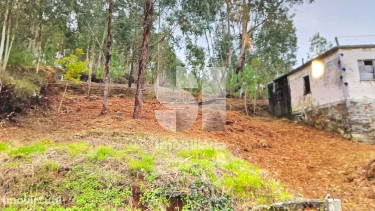 Ruina em local calmo - Grande imagem: 4/5