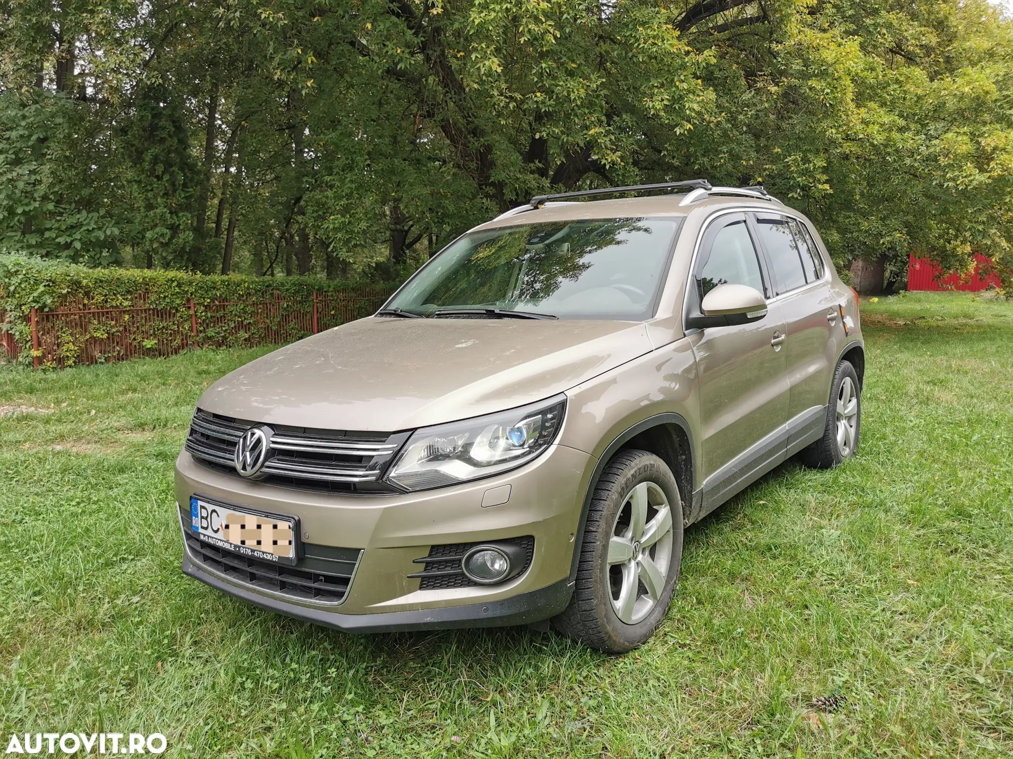 Volkswagen Tiguan - 1
