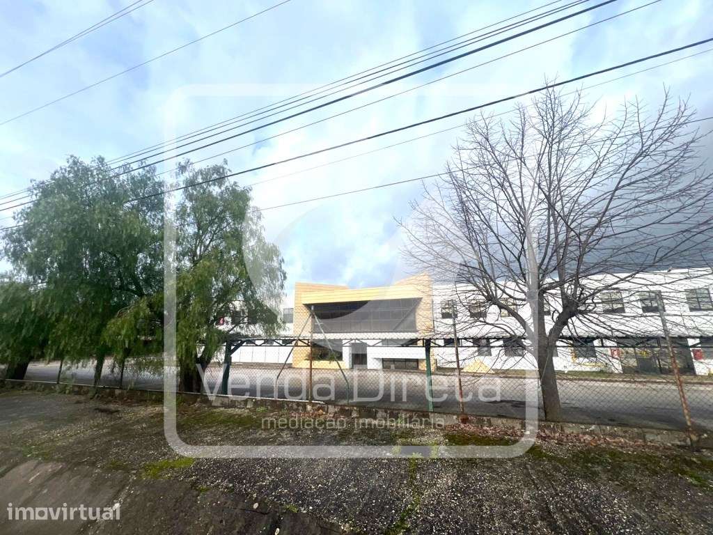 Pavilhão Industrial com 12.056 m² - Excelente Funcionalidade e Aces... - Grande imagem: 2/50