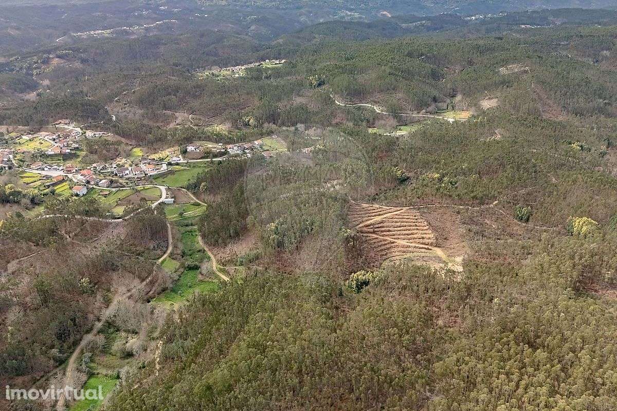 Terreno  para venda - Grande imagem: 3/10