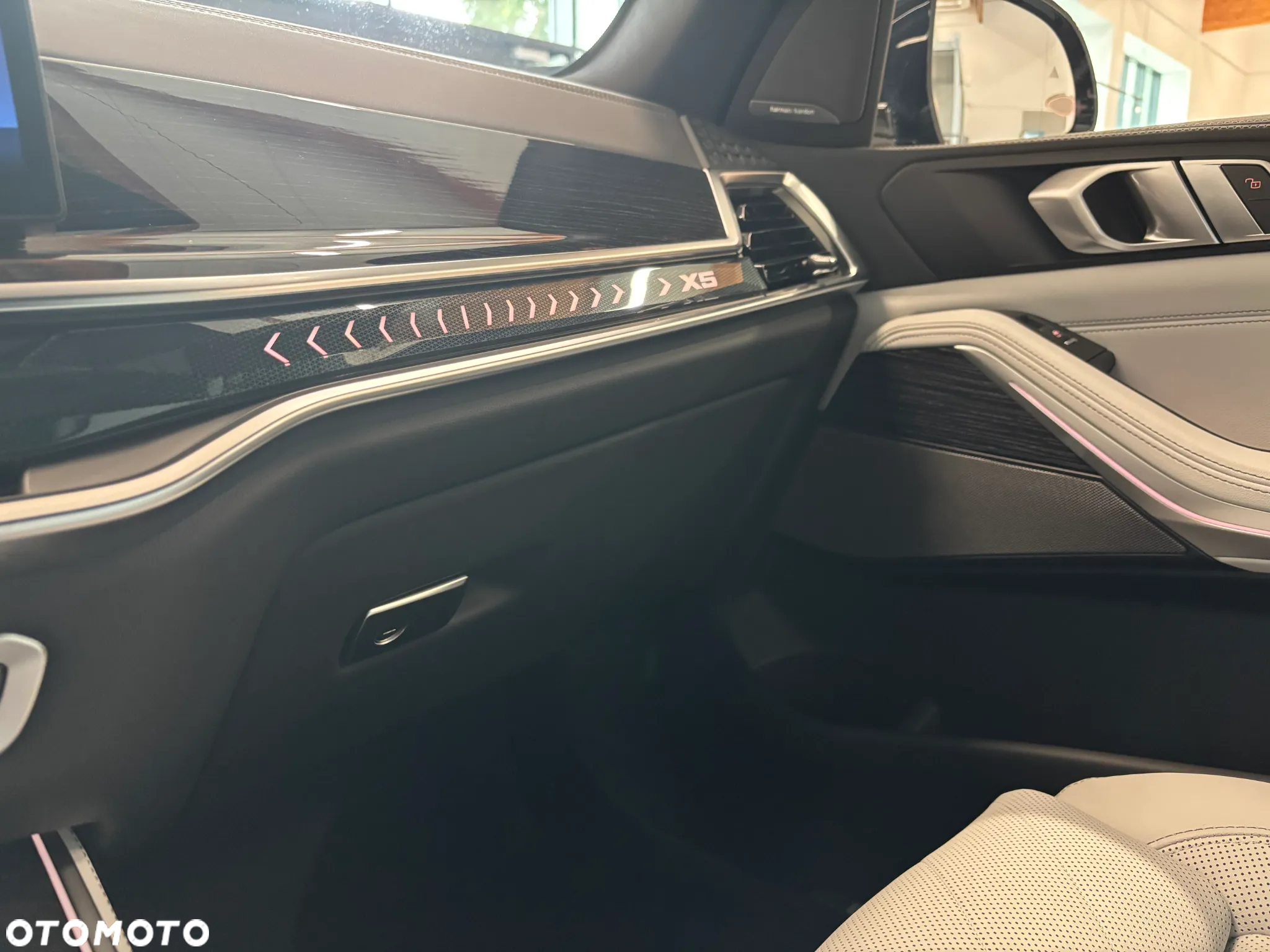 BMW X5 xDrive40i - 21